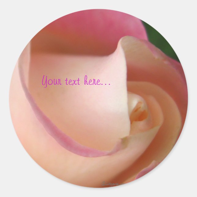 Pink Cream Wedding Rose Seal (Front)