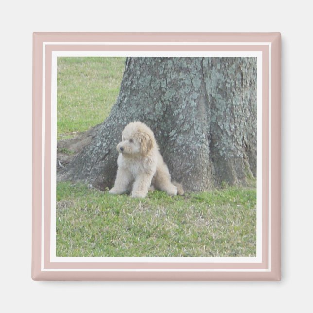 Pink Create Your Own Custom Personalised Photo Magnet (Front)
