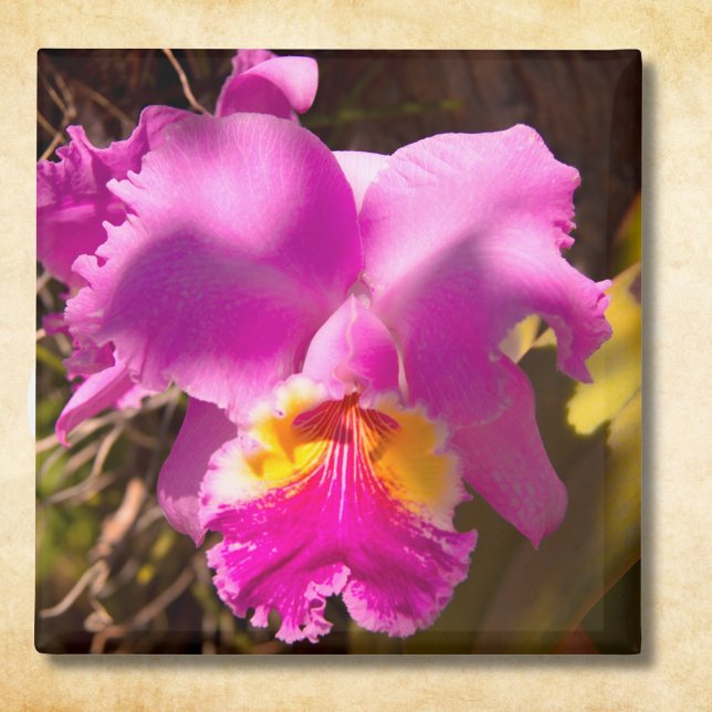Pink Crimson Cattleya Orchid Magnet (Creator Uploaded)