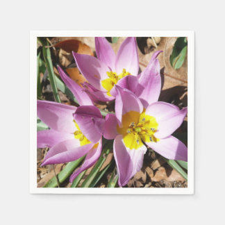 Pink Crocuses Spring Floral Napkin