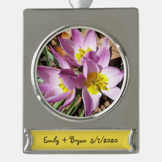 Pink Crocuses Spring Floral Silver Plated Banner Ornament