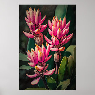 Pink Curcuma Flowers Art Print Poster