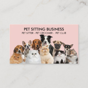 Pink Cute Dog Cat Pet Photo Sessions Business Card