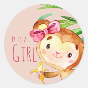 Pink Cute Monkey Baby Girl Announcement Classic Round Sticker