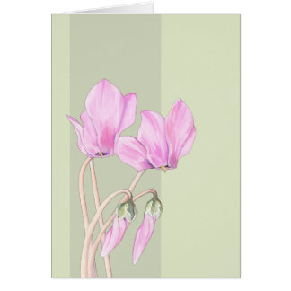 Pink Cyclamens green Card