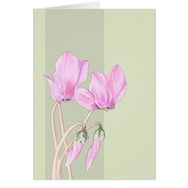 Pink Cyclamens green Card (Front)