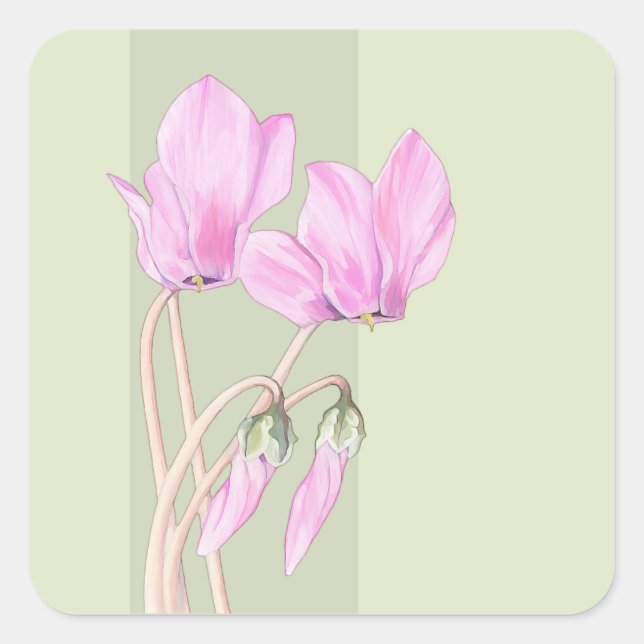 Pink Cyclamens green Square Sticker (Front)