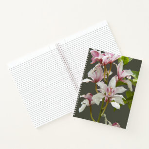 Pink Cymbidium Insigne Orchids Floral Notebook