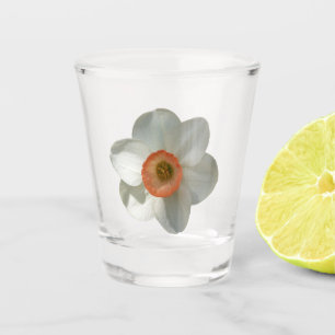 Pink Daffodil Spring Flower Shot Glass