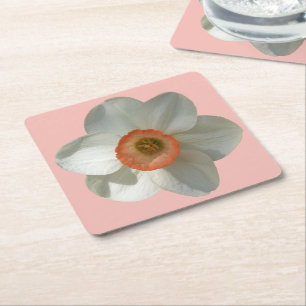 Pink Daffodil Spring Flower Square Paper Coaster