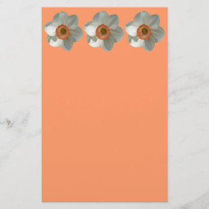 Pink Daffodil Spring Flower Stationery