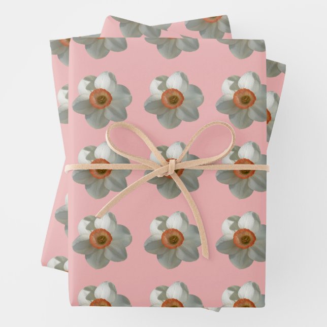 Pink Daffodil Spring Flower Wrapping Paper Sheet (In situ)