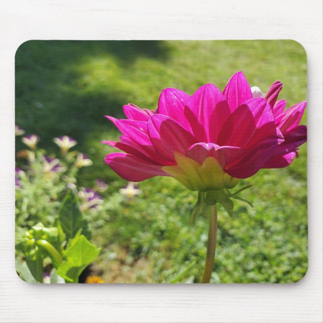 Pink Dahila Mouse Mat (Front)