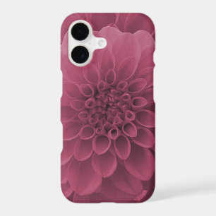 Pink Dahlia