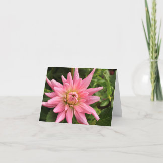 Pink Dahlia 4x6 Note Card