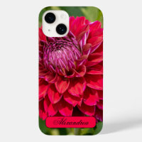 Pink Dahlia, Beautiful Flower Photography