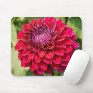 Pink Dahlia, Beautiful Flower Photography Mouse Mat