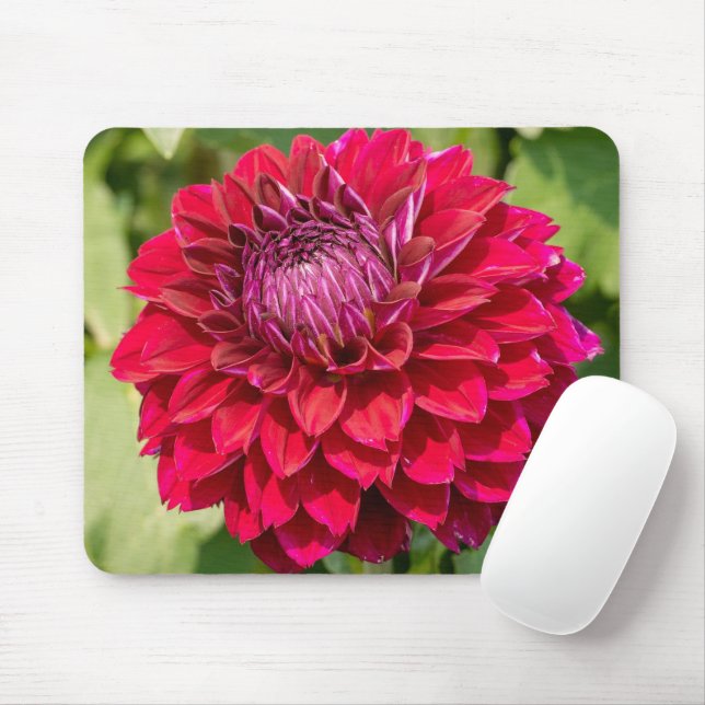 Pink Dahlia, Beautiful Flower Photography Mouse Mat (With Mouse)