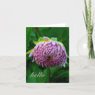 PINK DAHLIA CARD