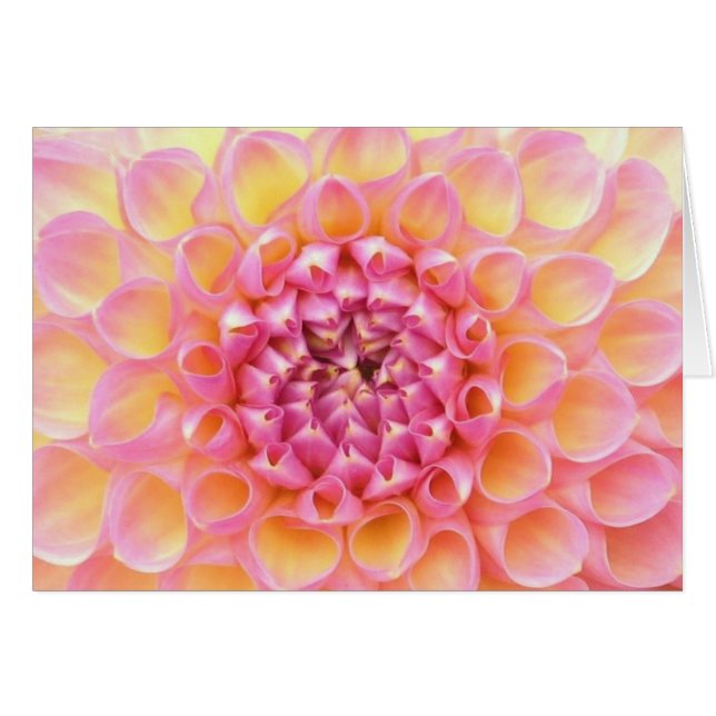 Pink Dahlia Card (Front Horizontal)
