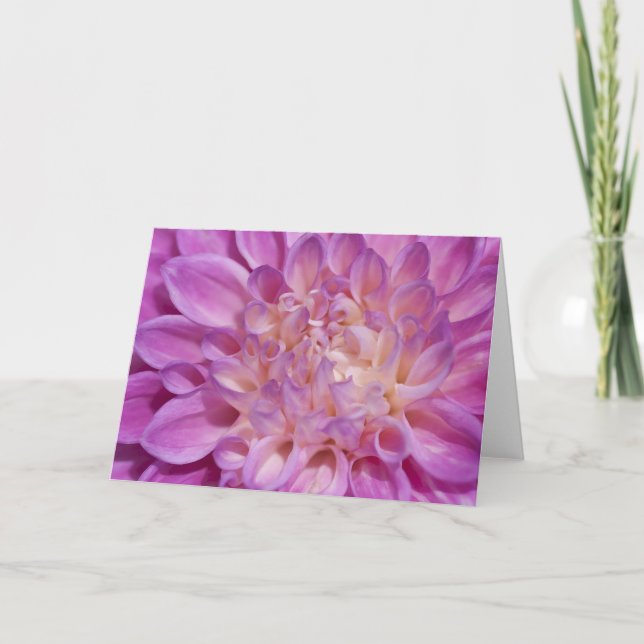 Pink Dahlia Card (Front)