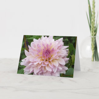 Pink Dahlia Card