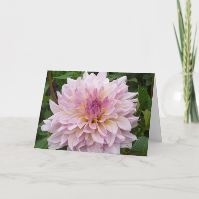 Pink Dahlia Card (Front)