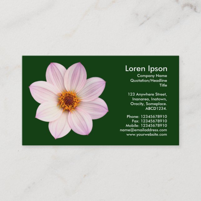 Pink Dahlia - Dark Green Business Card (Front)