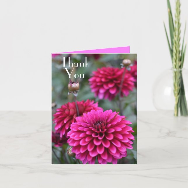 Pink Dahlia Floral Photograph Thank You Greeting Note Card (Front)