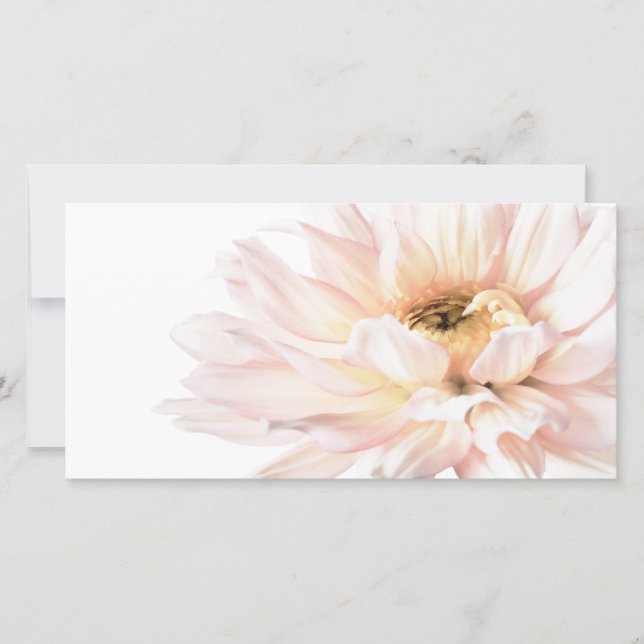 Pink Dahlia Flower - Dahlias Customised Template (Front)