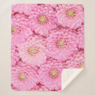 Pink Dahlia: Flower Top View Sherpa Blanket