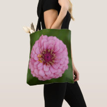 Pink Dahlia Flower