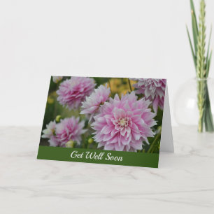 Pink Dahlia Flowers at RHS Garden Get Well Soon Card