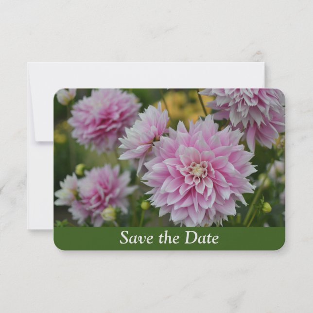 Pink Dahlia Flowers atRHS Garden Surprise Birthday Save The Date (Front)
