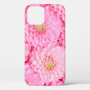 Pink dahlia flowers background. Top view. iPhone 12 Case