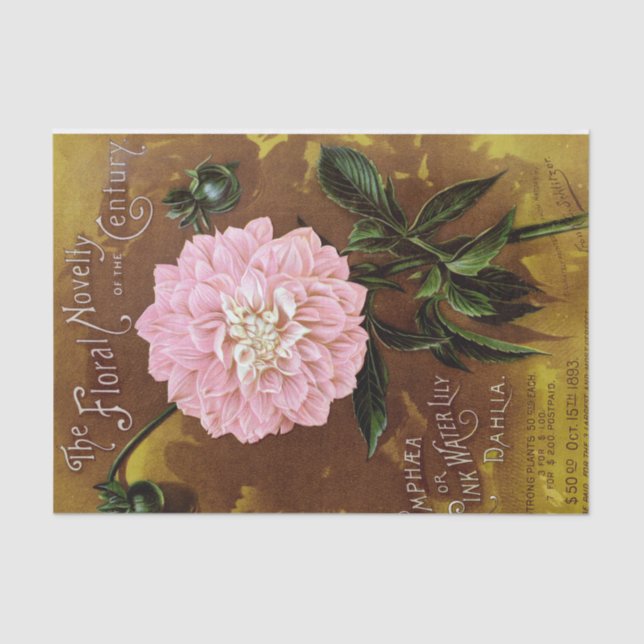 Pink Dahlia on Brown Antique Print Tissue Paper (Front)