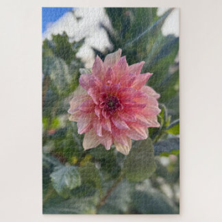 Pink Dahlia, Palo Alto Jigsaw Puzzle