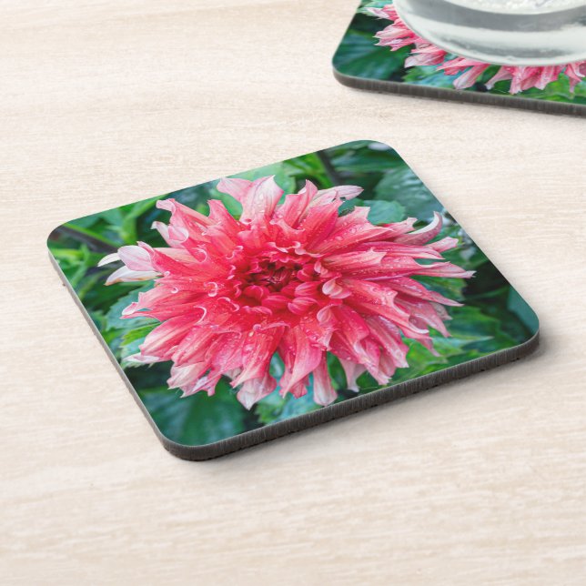 Pink Dahlia Photography, Canadian Beauty Coaster (Left Side)
