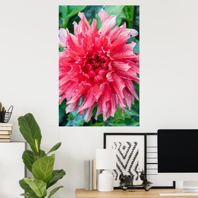 Pink Dahlia Photography, Canadian Beauty Poster (Home Office)
