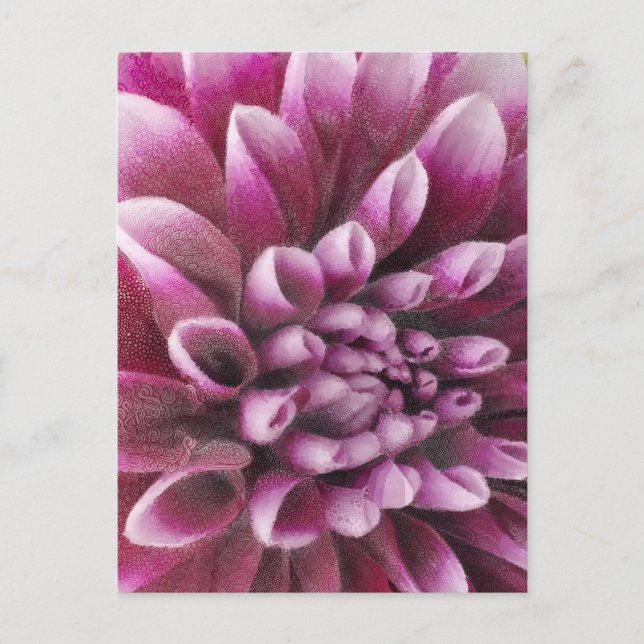 Pink Dahlia Postcard (Front)