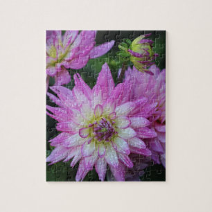 Pink Dahlia Puzzle