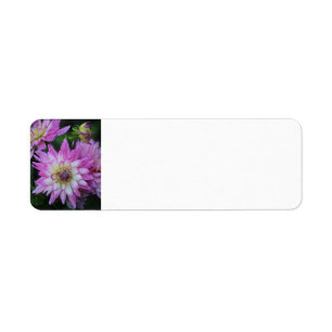 Pink Dahlia return address labels