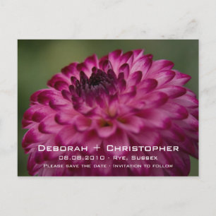 Pink Dahlia • Save the Date Postcard