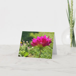 Pink Dahlia Thank You Card