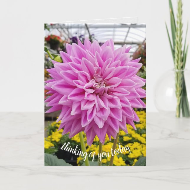 pink dahlia-thinking of you card (Front)