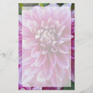 Pink Dahlia With Border Stationery
