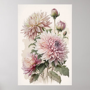 Pink Dahlias Flower Art Print Poster