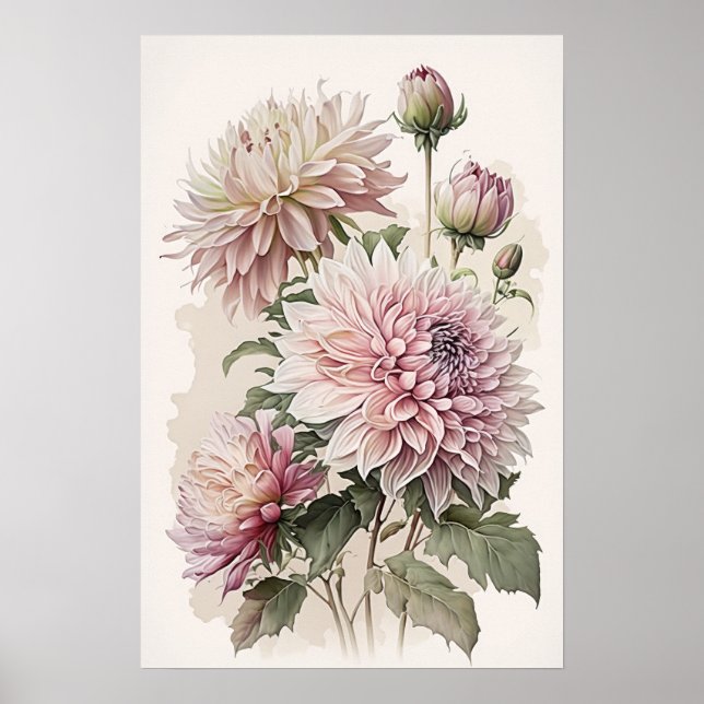 Pink Dahlias Flower Art Print Poster (Front)