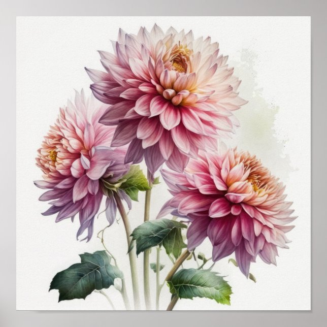 Pink Dahlias Flower Art Print Poster (Front)