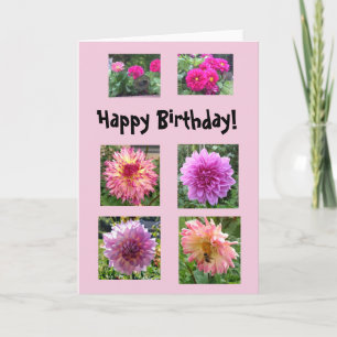 Pink dahlias for your birthday! card